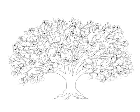 Outline illustration apple tree with leaves, apples and blossom for adult or kid coloring book, tutorial, home art print, decorating,  Earth Day flyer design. Isolated on white background.のイラスト素材
