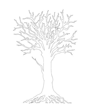 Outline illustration tree with roots and without leaves for kid and adult coloring book, tutorials. Print for home art, decorate wall  and flyer design.のイラスト素材