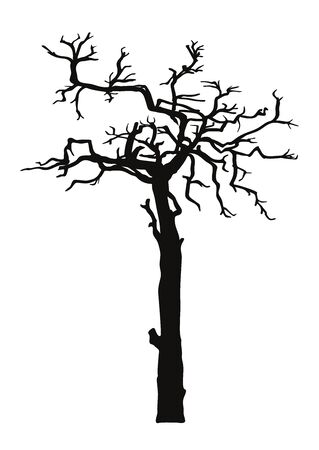 Black silhouette illustration crooked tree without leaves. Icon tree isolated on white background. Template for tattoo, print for t-shirt, home art, decorate wall, logo and flyer design.のイラスト素材