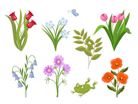 Image with set of summer meadow flowers and frog. Isolated floral bouquets  for t-shirt, tunic or decorate dishes, stationery and mural, wall art. eps 10.のイラスト素材