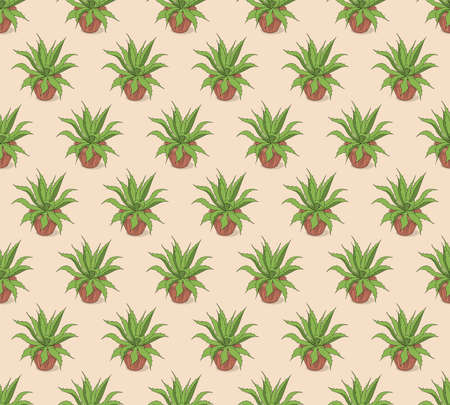 Beige seamless pattern with hand drawn agave in the pot for wallpaper, packing gift, present, pack paper, textile print, fabric pattern.のイラスト素材