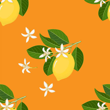 Orange seamless pattern with yellow lemon and blossom for wallpaper, packing gift, present, tea pack paper, textile print, fabric pattern.のイラスト素材