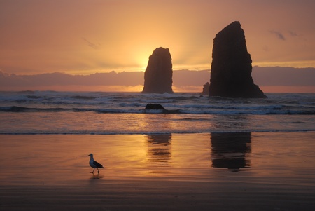 sunset behind coastal rock formationsの写真素材
