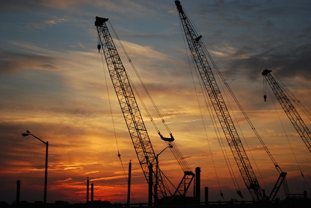 Cranes silhouetted on sunset skyの写真素材