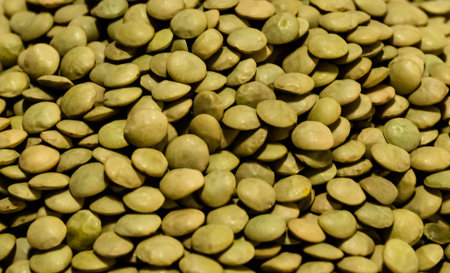 Lentil close-up の写真素材