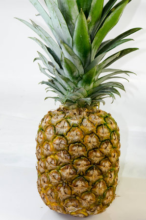 Pineapple の写真素材