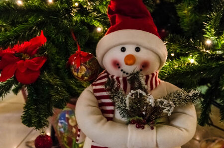 Snowy and the Christmas tree IIの写真素材