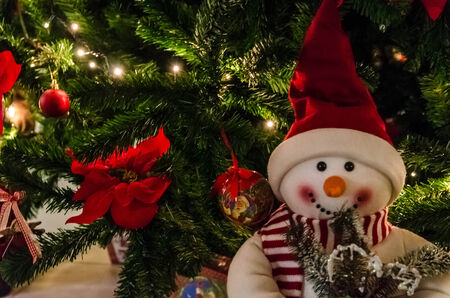 Snowy and the Christmas tree の写真素材