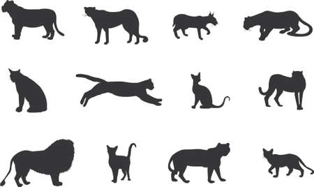 cat silhouettesのイラスト素材