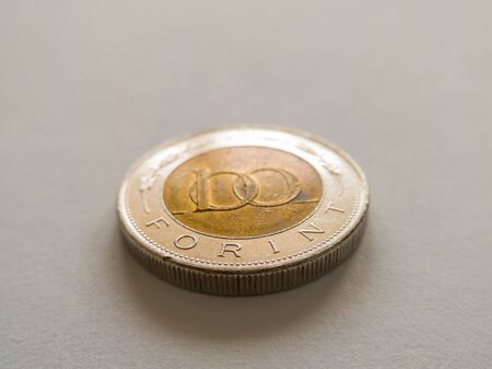 The forint is the currency of Hungary. Coin on white background.の写真素材