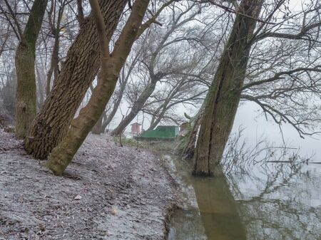 An old boat moored along the river bank in a willow grove. Dense fog in the river valley and frozen nature in a morning. A gloomy autumn landscape of frozen nature in a cold and silent fog.の写真素材