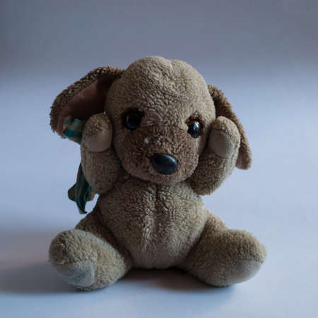 Insulated children's toy against a white background, an old torn dirty teddy bear from childhood