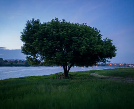 Picnic table and benches under a tree on the bank of the Sava River during a windy summer twilight.の写真素材