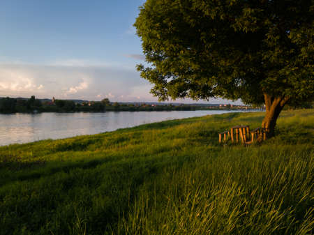 Summer landscape of the Sava river illuminated by the evening sun. A table and benches under a tree on the shore overgrown with grass.の写真素材