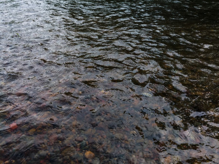 Wavy ripple surface of water on shallow rapid stream with colorful gravel at bottom, landscape with...