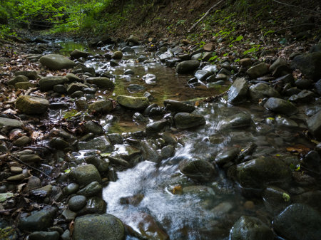 Intimate landscape detail of shallow mountain creek in forest, wet stones in river bed and abstract...