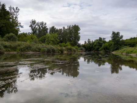 Landscape with Ukrina river and green riparian zone and underwater weed, natural ecosystem during cloudy summer dayの写真素材