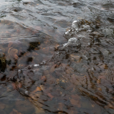Shallow abstract turbulent water motion, fast stream current over stones, small surge on surface,...