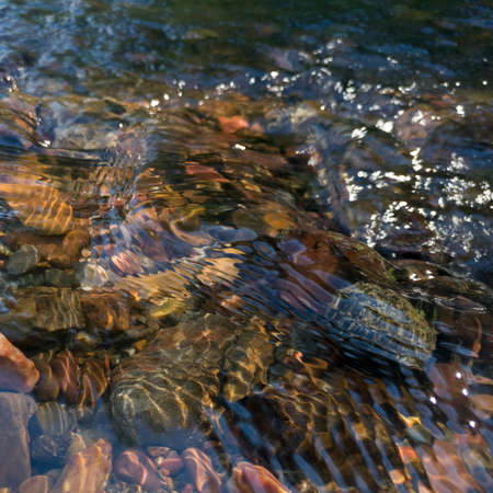 Clean and clear wavy water in stream, stones at the bottom of shallow creek, refraction of lightの写真素材