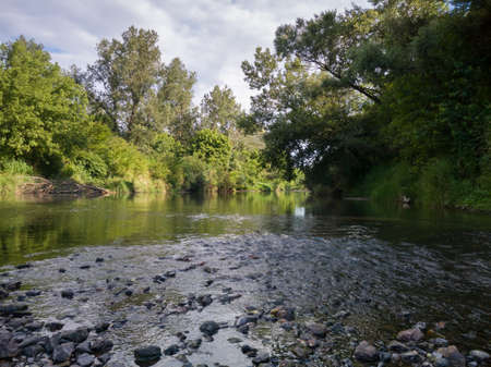 Landscape with river with rapids and flat surface with reflection, banks overgrown with greenery, riparian zone full of grass and trees during sunny summer day, natural ecosystemの写真素材