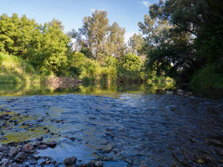 Landscape with river with rapids and flat surface with reflection, banks overgrown with greenery,...