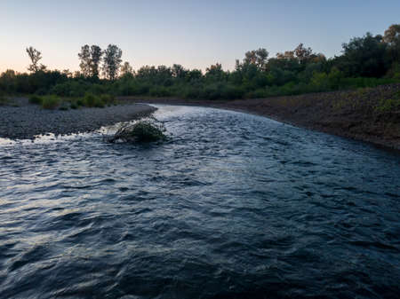 Landscape with curvy river, gravel shore and green bushes and trees during summer at dusk.