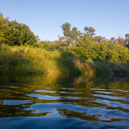 Calm landscape with river and forest, wavy water surface and grassy shore during sunny summer...