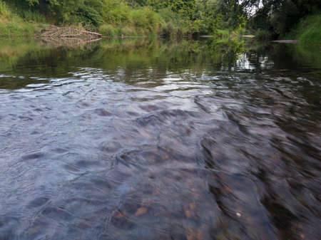 Landscape of river with rapids, fallen dead tree and forested banks during summer dayの写真素材