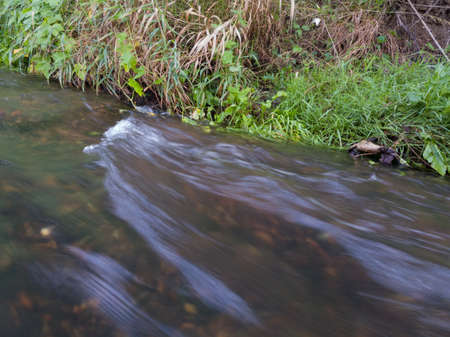 Detail from river, fast water current near steep grassy bank