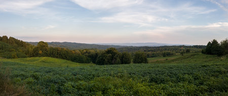 Hilly landscape with meadows and deciduous forests at dusk, countryside panorama on slopes of mountain VuÄijakの写真素材