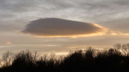 Big cloud with orange glow above forest canopy, landscape at sunset with forest silhouette