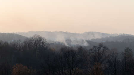Forest fire in countryside, house in danger and smoky skyの写真素材