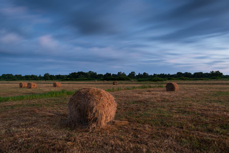 Rolls of hay in field at dusk, roll bales and cloudy sky in long exposure, rural landscape during blue hourの写真素材