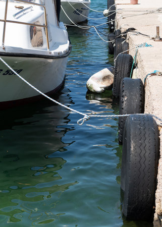 Dock bumpers, car tires on dockの写真素材