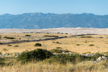 Landscape of Pag island with stone walls and mountain Velebit in distanceの写真素材