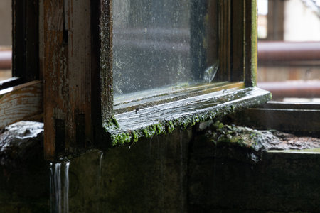Wet window covered with moss and mold in abandoned building during rainfallの写真素材
