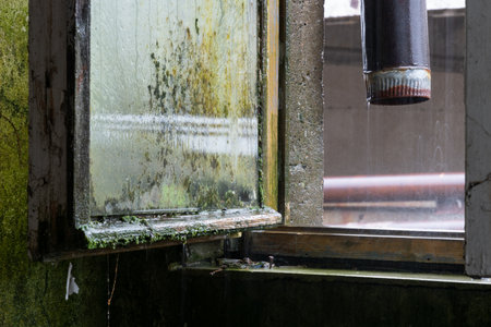 Open window in abandoned building during rainfall, window covered with mold and mossの写真素材