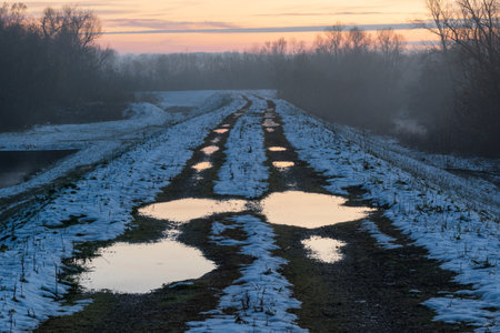 Dirt road on embankment with water puddles from snow melt, there are forests on both sides fading in...