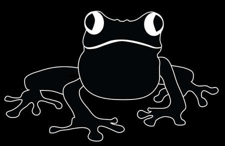 Frog Vector Illustration isolated on blackのイラスト素材