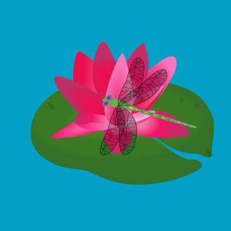 pink color lotus flower on leaves vector drawingのイラスト素材