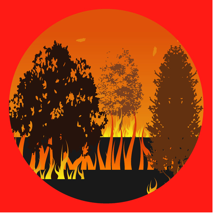 Woodland eco banner. Fire in forest. Can be used as poster, badge, wallpaper, backdrop.のイラスト素材