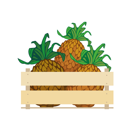 Vector crate with fresh fruits.のイラスト素材