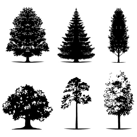 various of vector tree silhouettes in dark black colorのイラスト素材