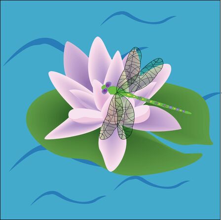 Pink color lotus flower on leaves vector drawingのイラスト素材