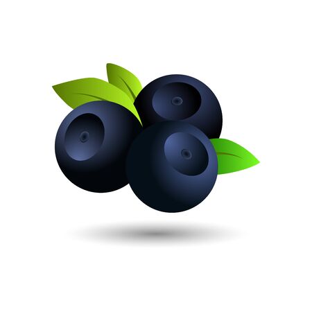 Vector blueberry icon. Flat cartoon illustrationのイラスト素材