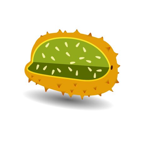 fresh kiwano vector illustrationのイラスト素材