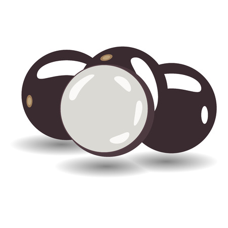 Jabuticaba fruitのイラスト素材