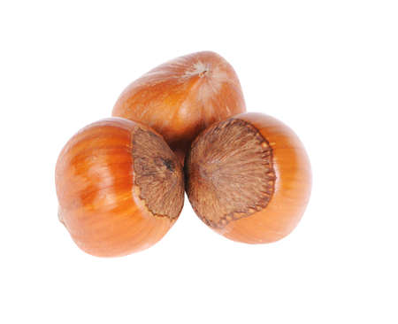 ripe brown hazelnuts isolated on white backgroundの写真素材