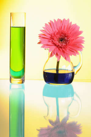 Vases with multi-coloured water on yellow backgroundの写真素材