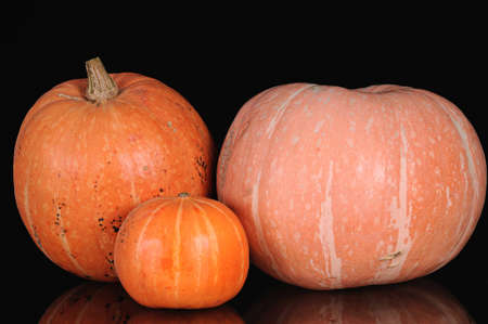 three orange pumpkins shooting on black backgroundの写真素材